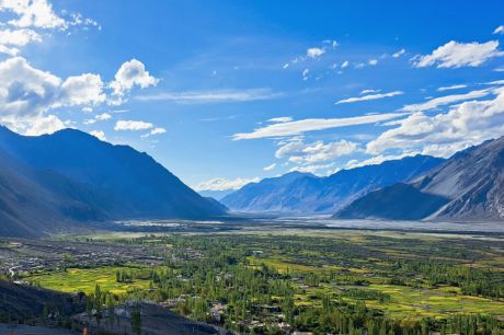 A lush green view of Nubra Valley, highlighting its unique contrast against the rugged mountain backdrop